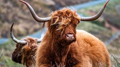 Le meilleur de l’Ecosse en groupe