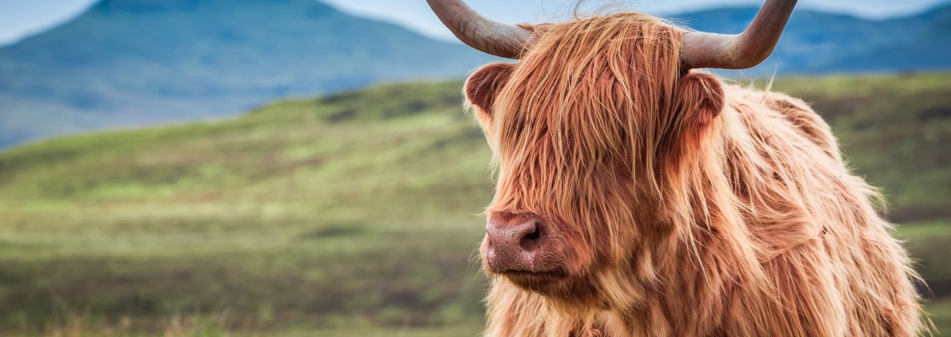 L’Ecosse en famille