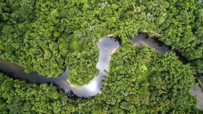 Vers des voyages plus responsables grâce à l’absorption