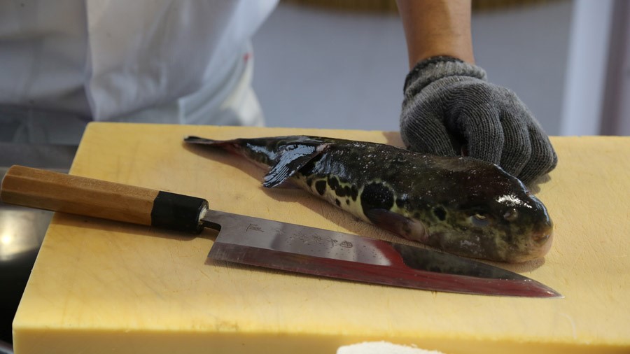 Poisson Fugu