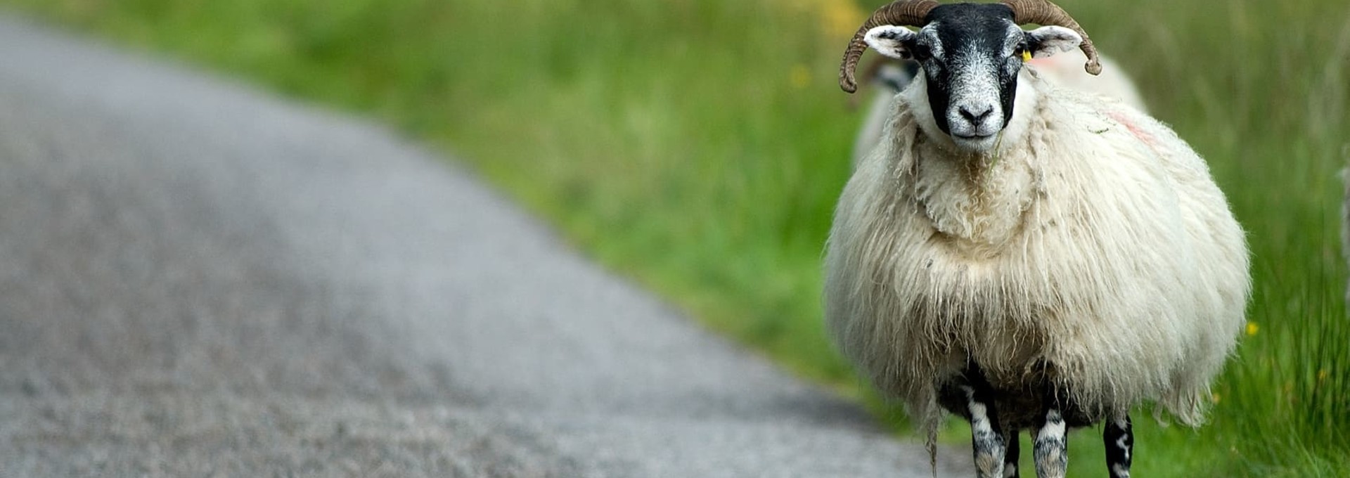 Séjour découverte en famille