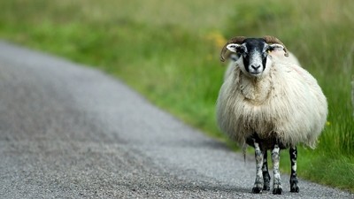Séjour découverte en famille