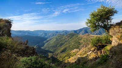Trek dans les Cévennes de Stevenson