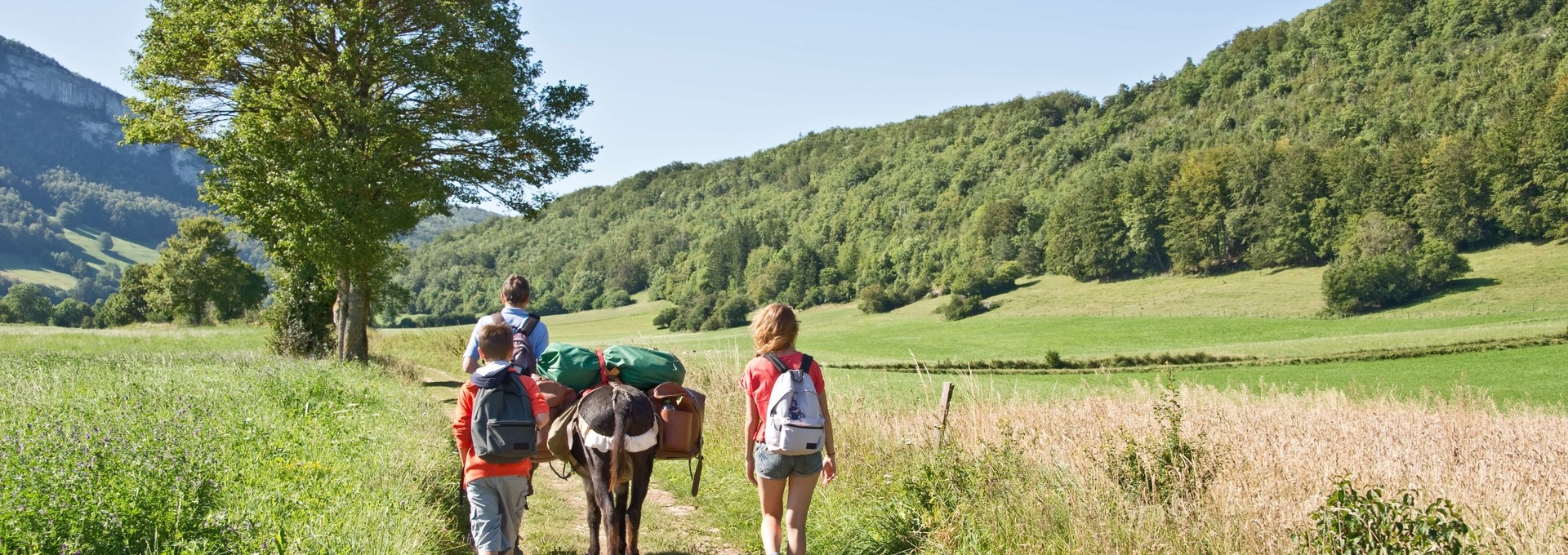 Les volcans d’Auvergne en famille avec un âne