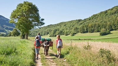 Les volcans d’Auvergne en famille avec un âne