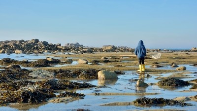 Pour les grands et les petits