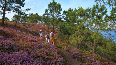 Les régions incontournables de la Bretagne
