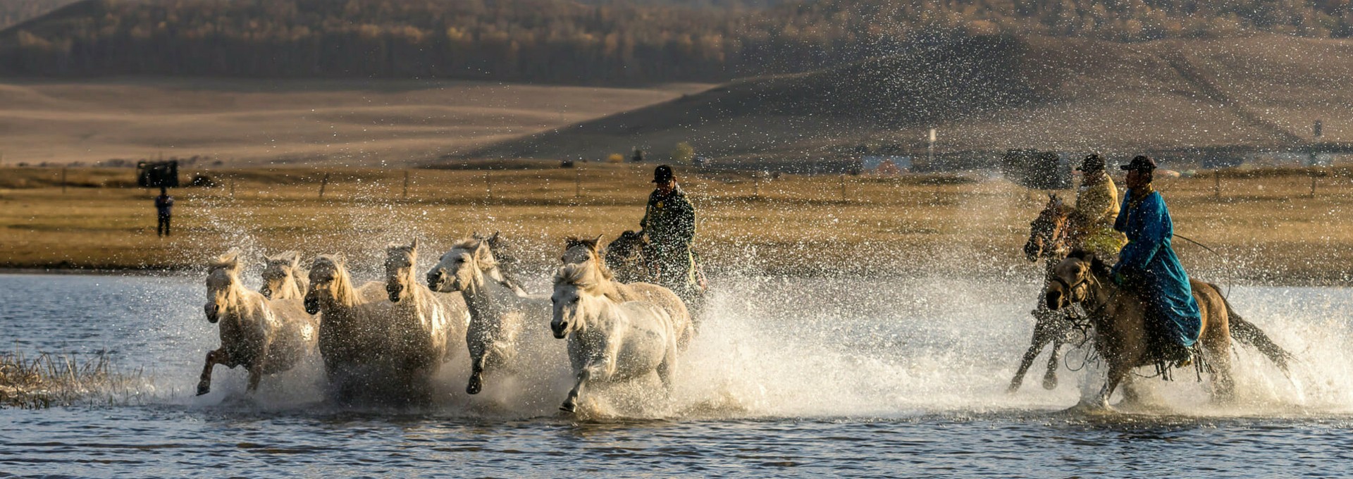 Aventures nomades en Mongolie