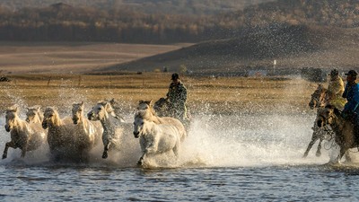 Aventures nomades en Mongolie