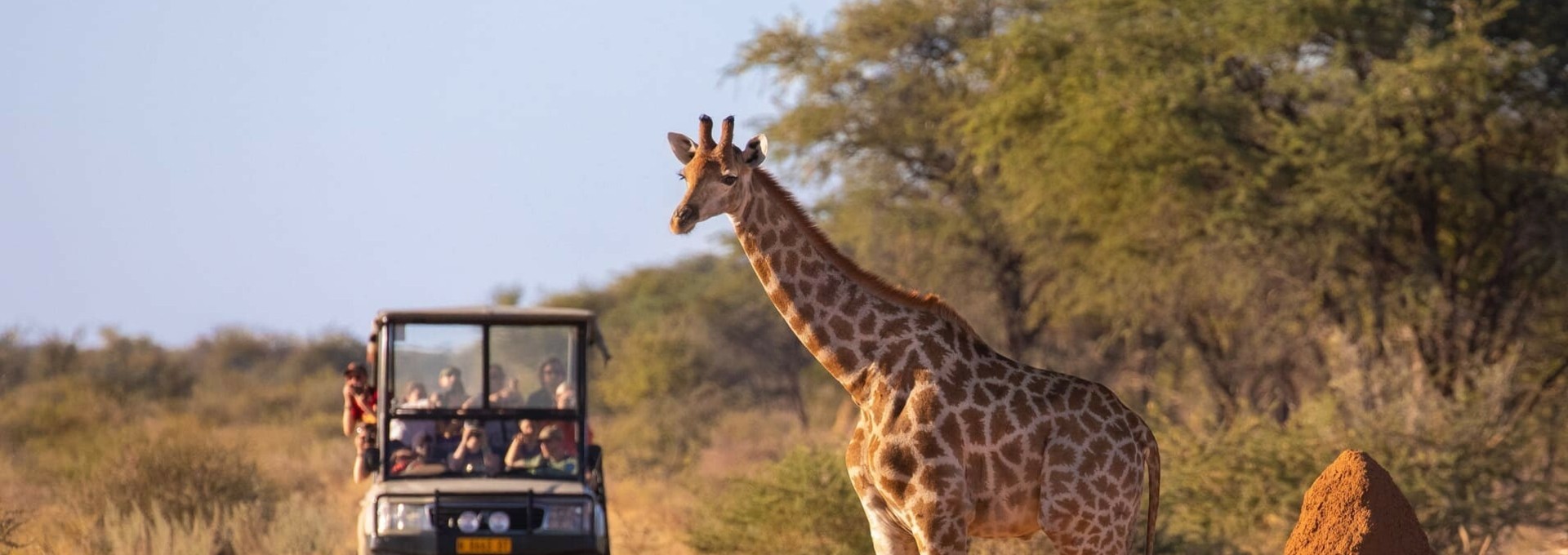 Evasion en famille : Safaris et Zanzibar