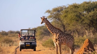 Evasion en famille : Safaris et Zanzibar