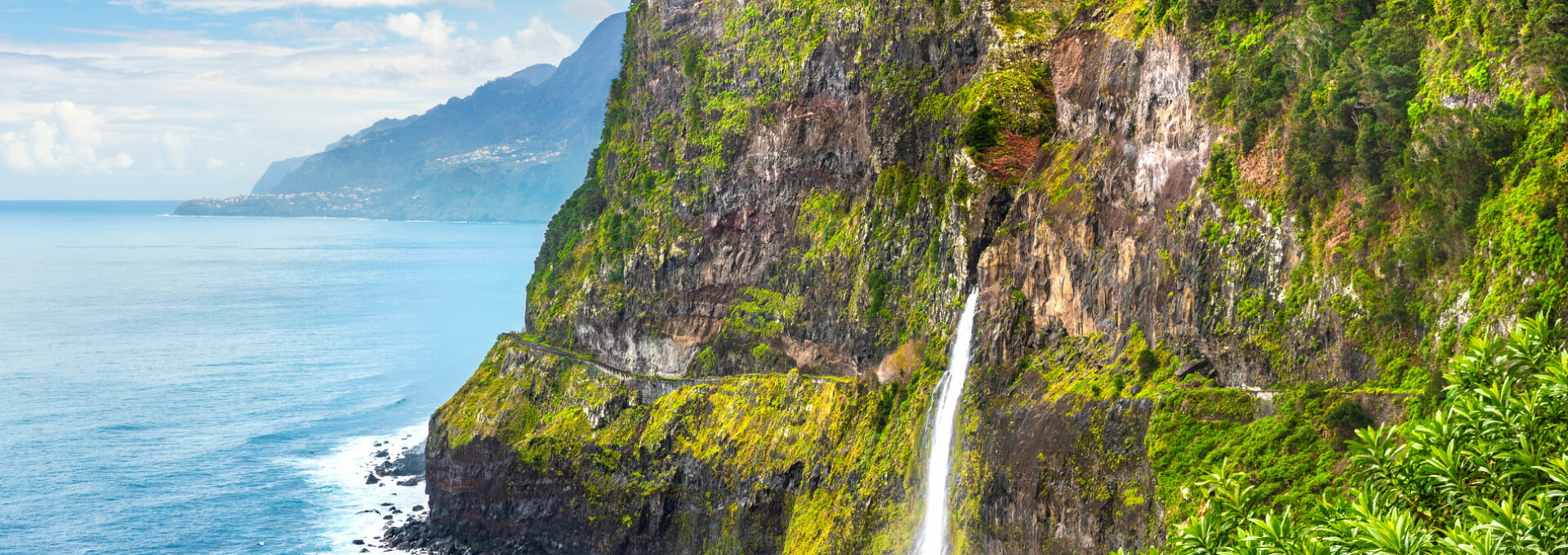 Découverte de Madère en liberté