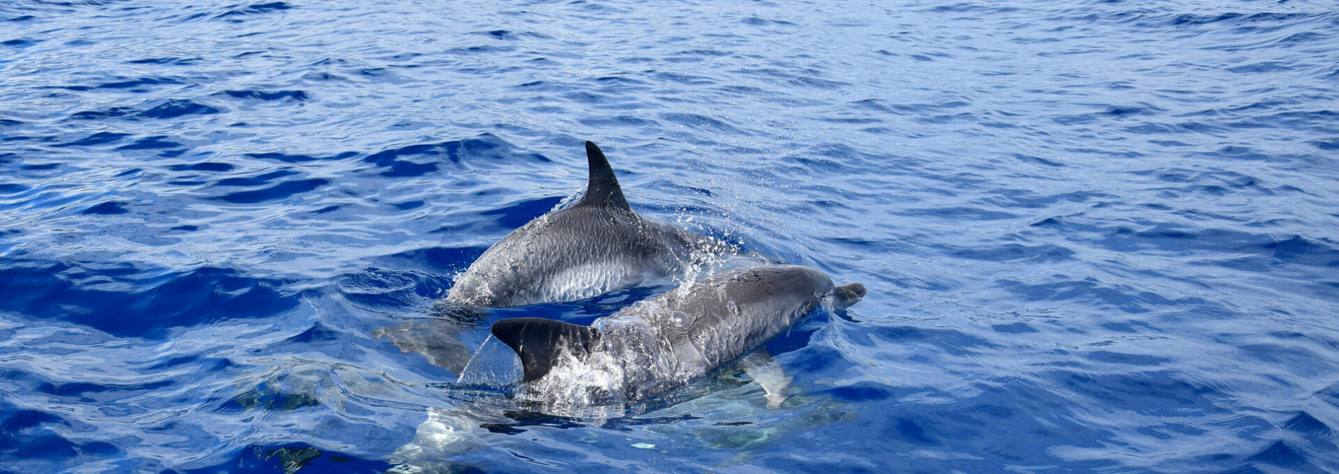 Autotour Madère au naturel