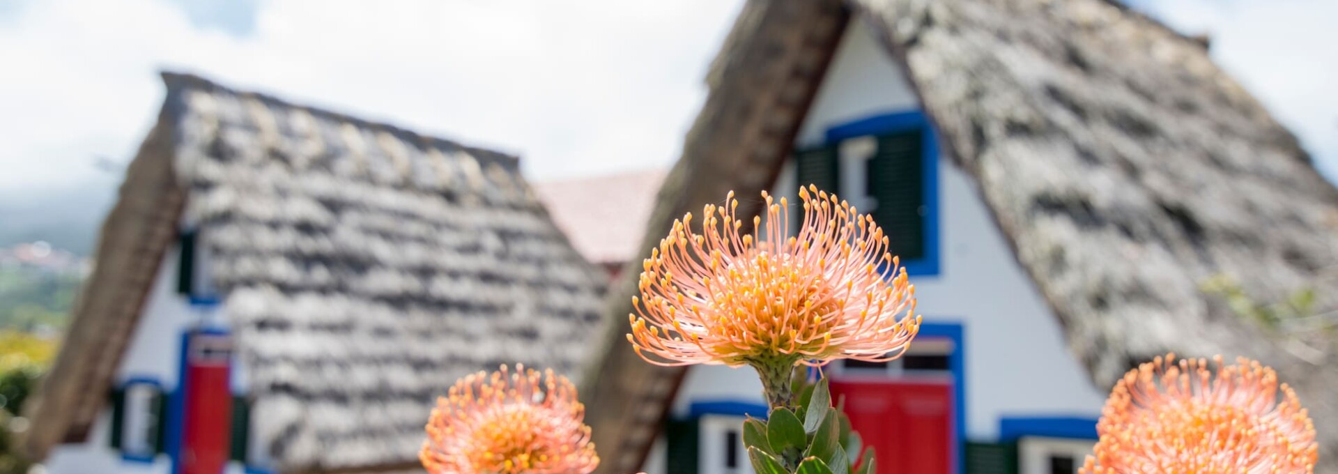 Iles de Madère & Porto Santo en famille