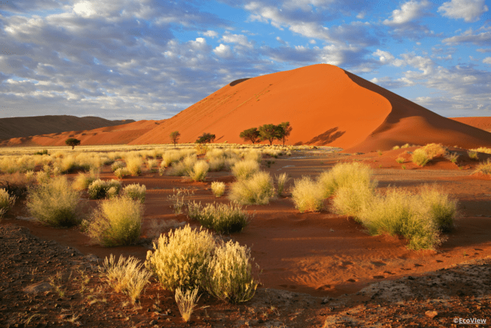 dune-desert-namibie
