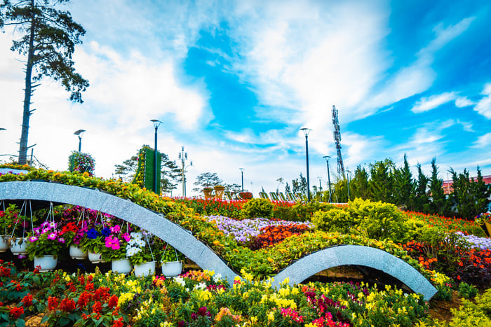 festival-fleur-vietnam