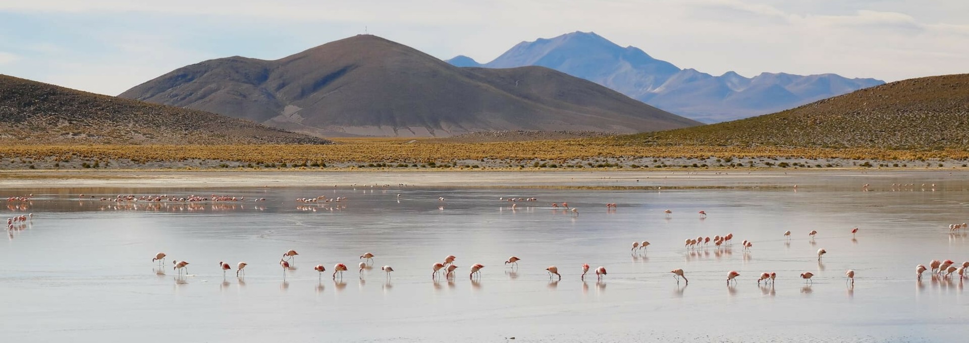 Merveilles de la Bolivie et du Chili