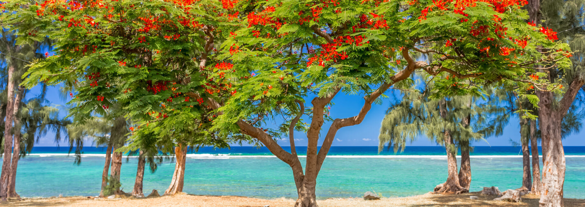 Evasion et détente à la Réunion