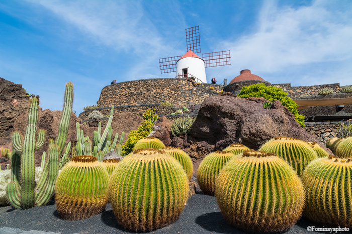  jardin-cactus-lanzarote