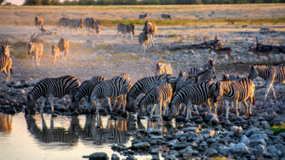 TOP 10 des parcs nationaux dans le monde