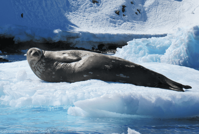 parcs-nationaux-islande-Vatnajökull