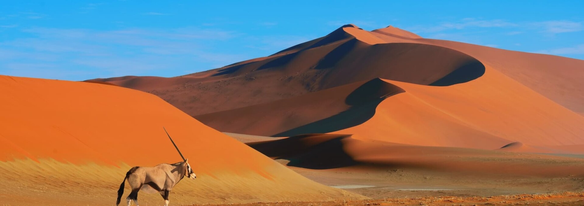 Odyssée fantastique en Namibie