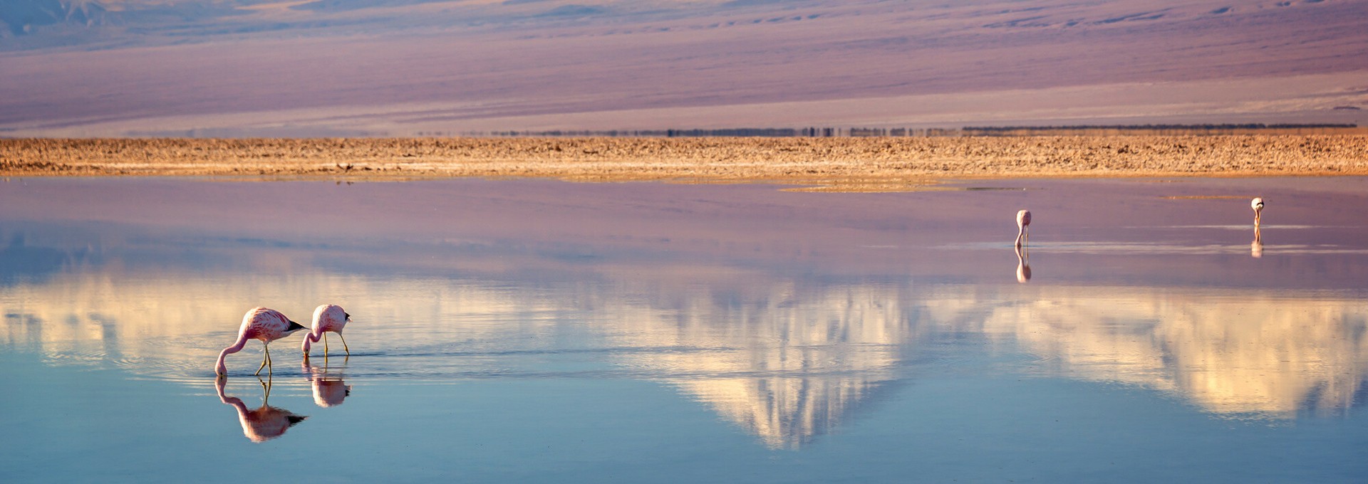 Les merveilles du Chili en hôtels de charme