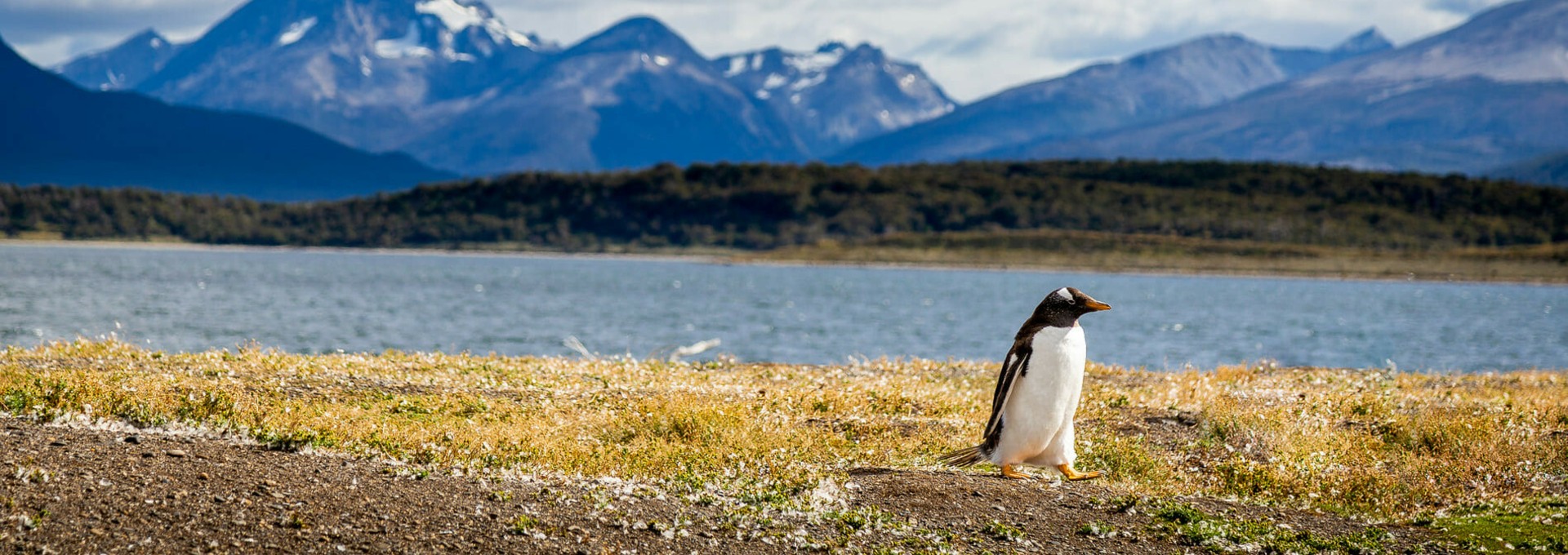 Le Sud du Chili, entre Patagonie et Terre de Feu