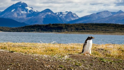 Le Sud du Chili, entre Patagonie et Terre de Feu