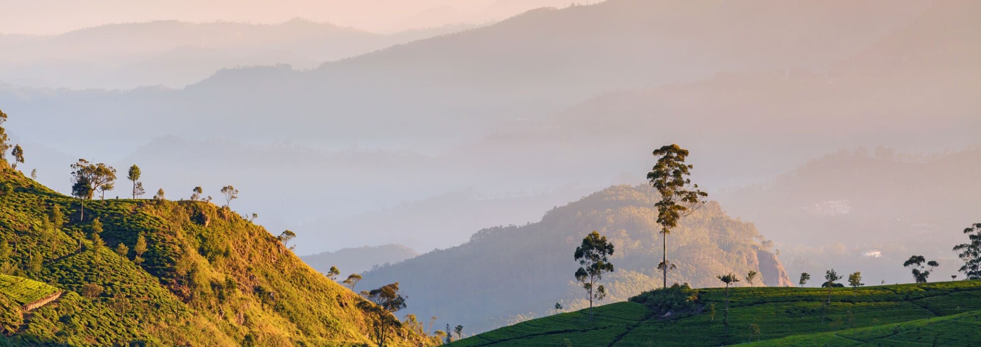 Les merveilles du Sri Lanka en hôtel de charme