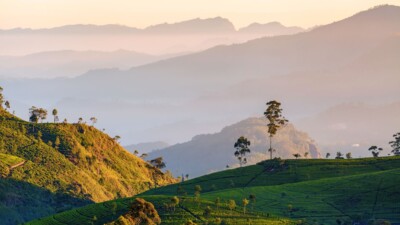 Les merveilles du Sri Lanka en hôtel de charme
